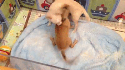 1414240324_1023853097