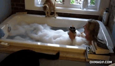 -коте-Ванна-удалённое-772142