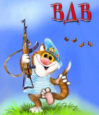 Кот-ВДВ