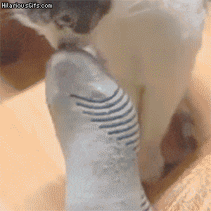 c1daaed3532950b4c2e1174b37c67ae9