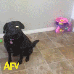 Фокус-покус.