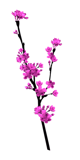 5af87bd41dc25d73f1dad98d264b187a