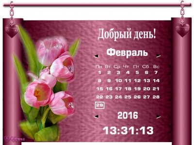 Розов Тюльп Б