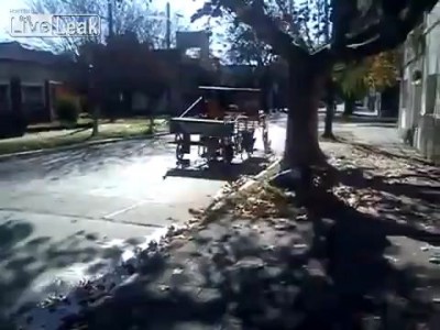 Собачий девайс