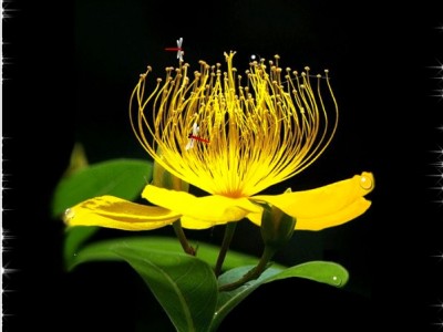 После дождя