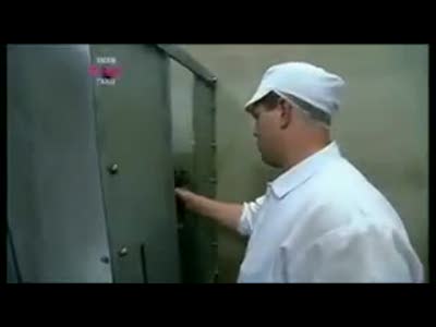 На скотобойне