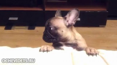 Жалоба на жизнь