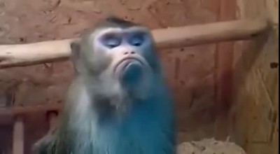 как обижаются девушки