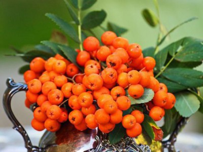 Осеннего вам  настроения