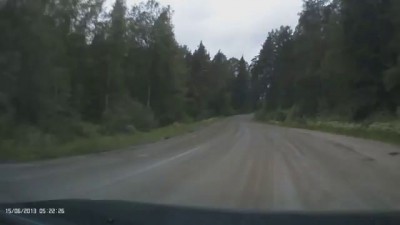 Ебать, Лось!