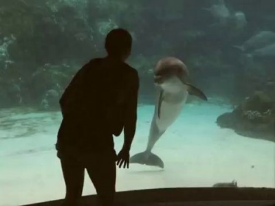 Girl Makes Dolphin Laugh