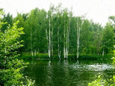 Летний дождь