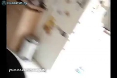 Кот и пакет