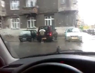 Цепкий воробей 