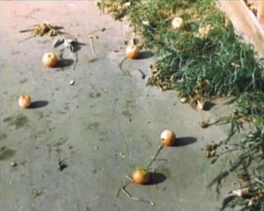 Останься королевой для меня