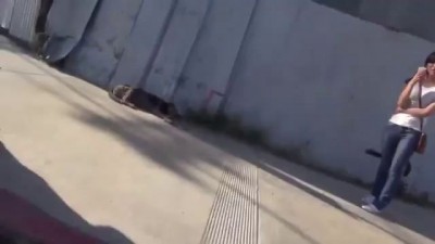 Красивая сказка в реальной жизни