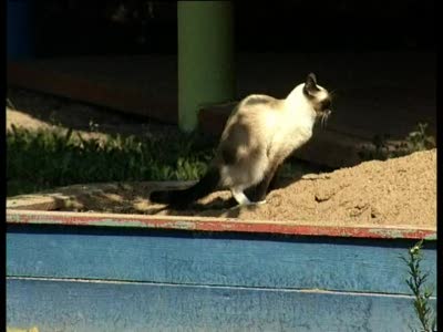 благоустройство