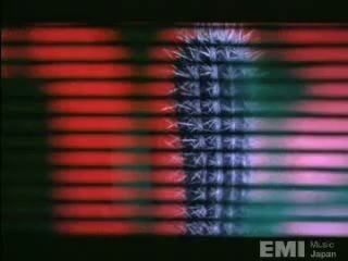 PET SHOP BOYS 「PANINARO '95」