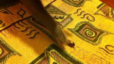 Майский жук