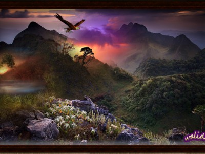 Полет кондора.