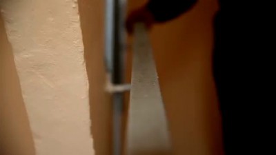 Игорь Растеряев. Кошка Муся.