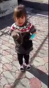 Возьмем котенка