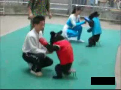 Бои без правил