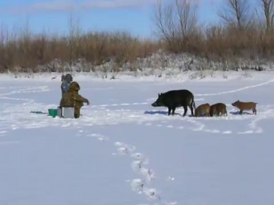 Неожиданная встреча на рыбалке