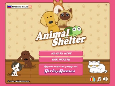 Animal Shelter