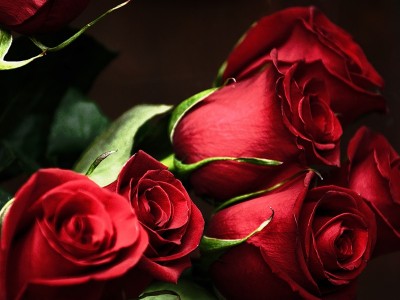 часы "розы"1