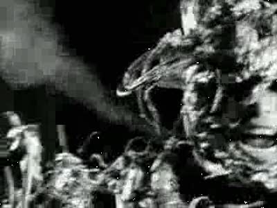 Трэш видеоклип