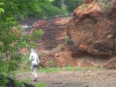 Про воришку, банку эмали и дикую охрану