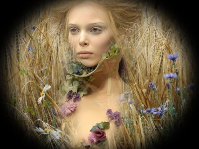 осень пшеница капли дождя