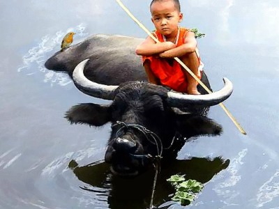 Пастырь скота