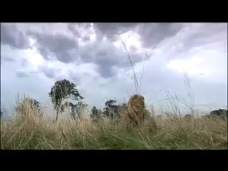 Кевин Ричардсон