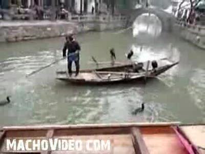     птицы  вместо удочки