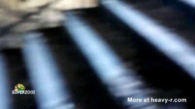 Дом профсоюзов Одесса - последствия