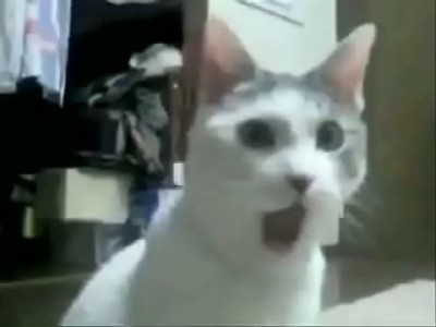 ЗП не будет