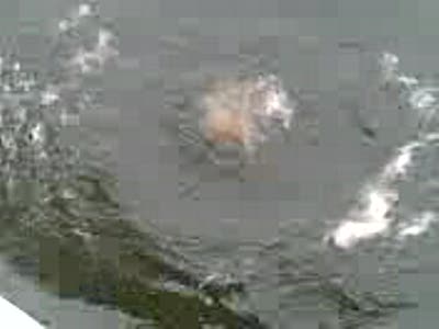 утонул по пьяни на день города