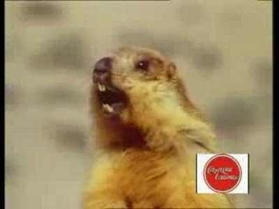 Долго смеялась! ПОЗИТИВ