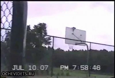 Кот-акробат