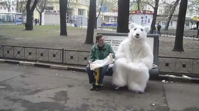 Медведя штырит