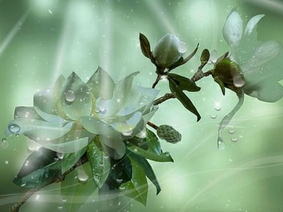 ДОЖДЬ для ДВОИХ...