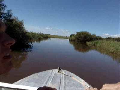 Амурские протоки