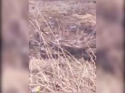 г.Риддер, дом ушёл под землю