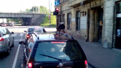 Кот Путешественник