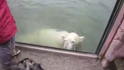 Миша пошутил