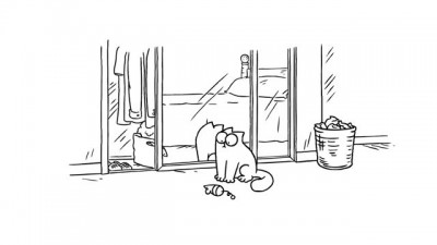 Mirror Mirror - Simon's Cat