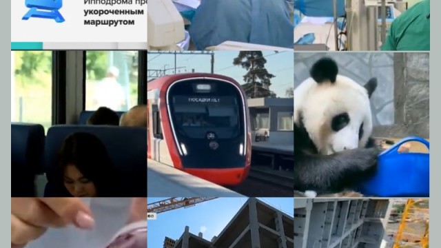 collage (27)