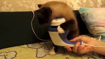 New Cat's Massager